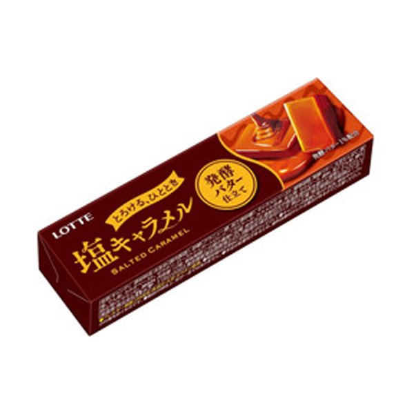 ロッテ 塩キャラメル 発酵バター仕立て 10粒 120コ入り 2021/02/23発売 (45205