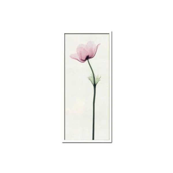アートパネル アートポスター 額入り Steven N. Meyers X-Ray フラワー 花 ガラスフレーム 壁掛け インテリア おしゃれ Anemone II 35x75cm