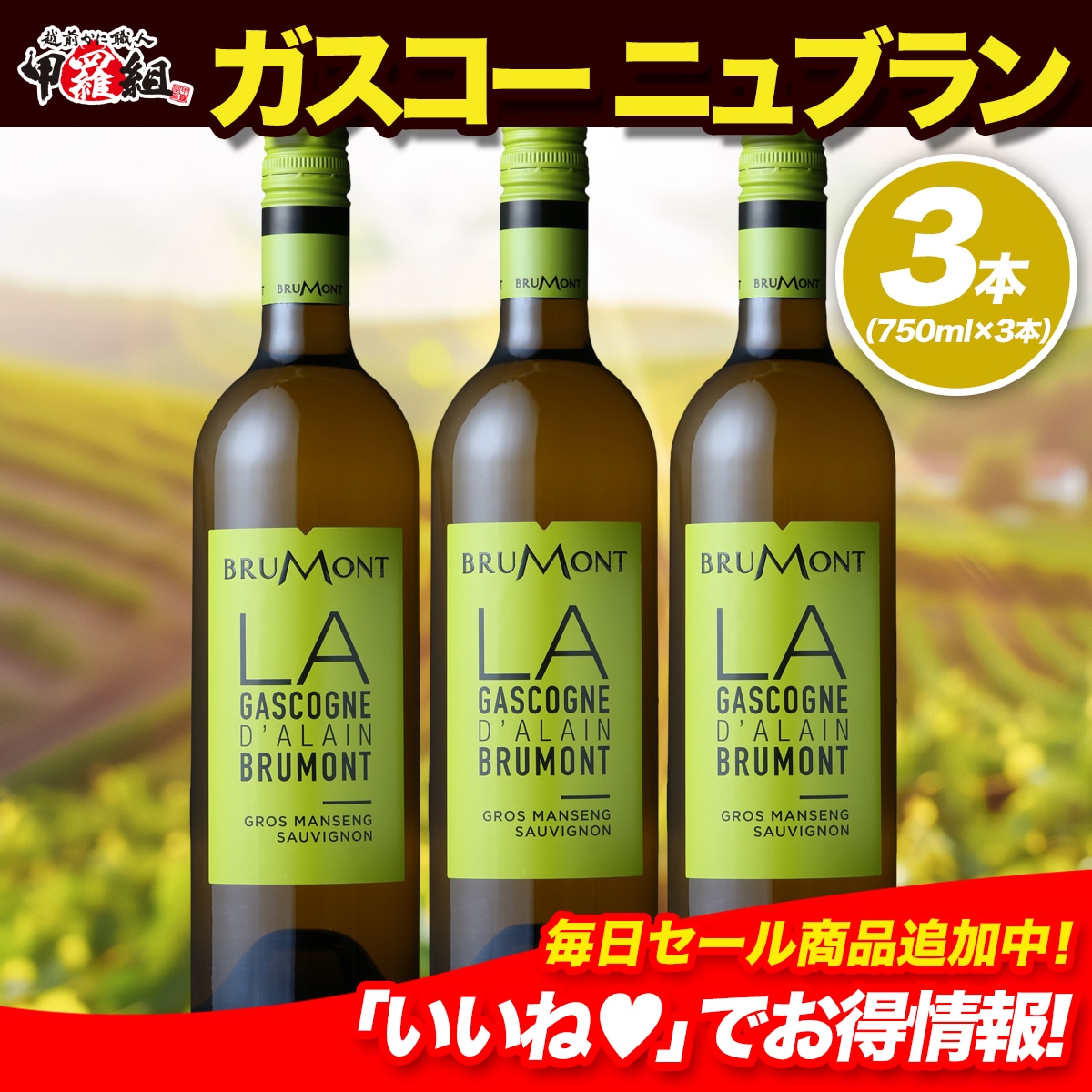 ドメーヌ・アラン・ブリュモン ガスコーニュ ブラン×３本セット