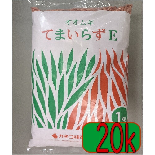 カネコ種苗 緑肥 オオムギ てまいらずE 20kg