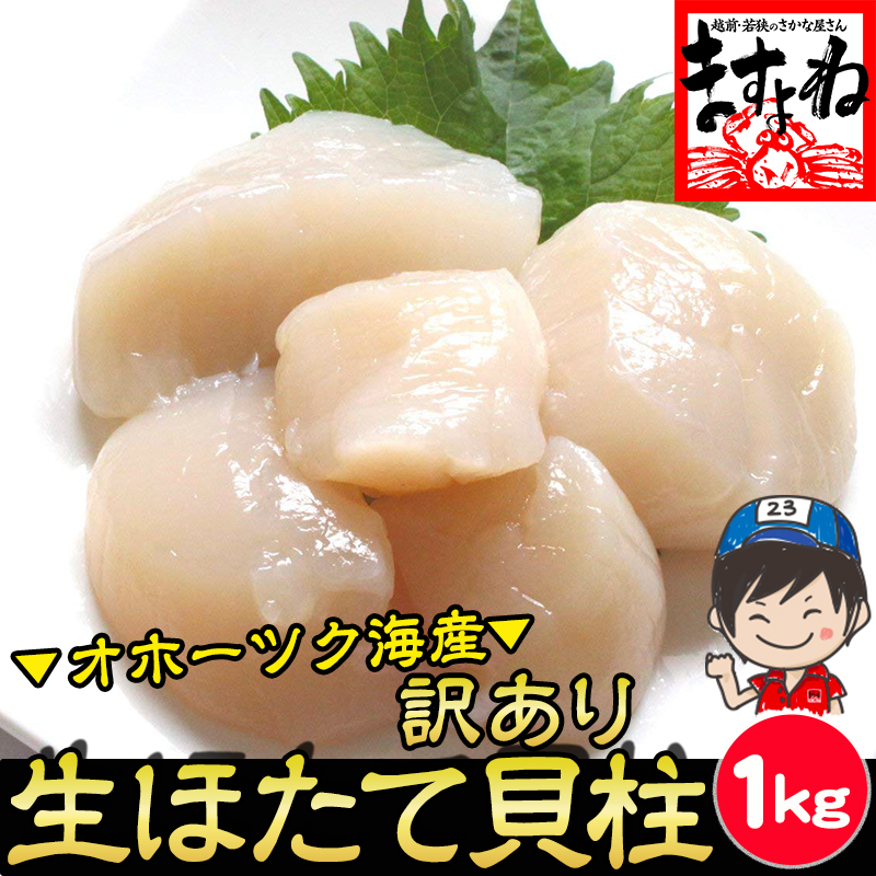 訳あり 生ほたて貝柱 1kg お刺身用 生ホタテ貝柱 割れ/不揃い 北海道オホーツク海産