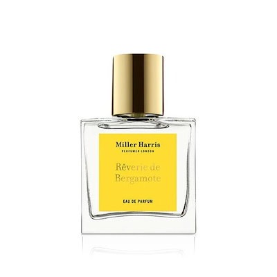 JAL 日本航空　DC8001　富士号　Y型ストリンガー JAL 日本航空 DC8001 富士号 Y型ストリンガー