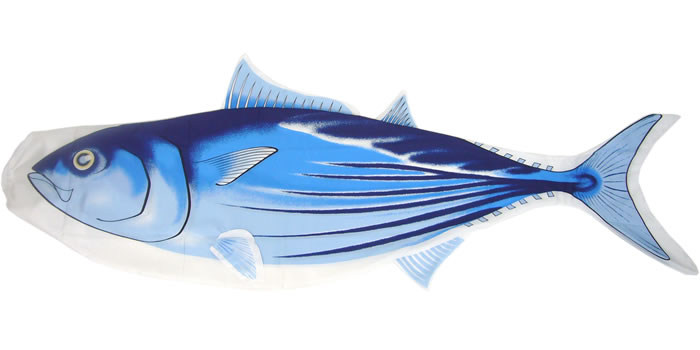 【鯉のぼり】【D090】リアル！おさかな　な　なかまシリーズ【かつおのぼり】【新作】【秀光】【限定品】