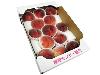 世界の名画 ヴィンセント 『裸婦』絵画 キャンバス 額装品 アート