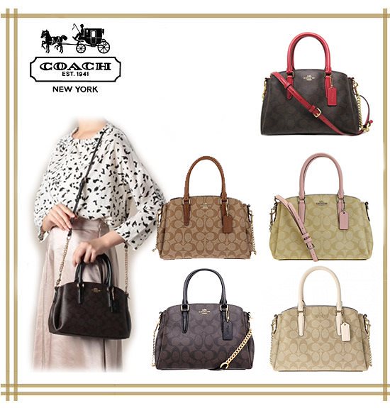 MINI SAGE CARRYALL IN SIGNATURE CANVAS F29434