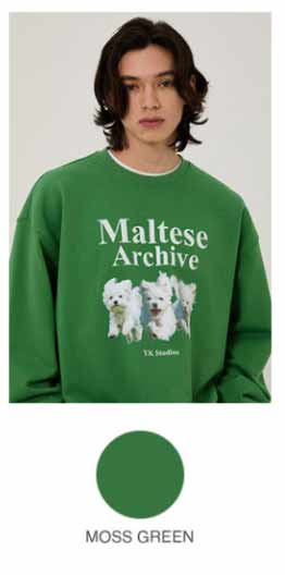 [SEVENTEENジョンハン着用] マルチーズマンツーマンTシャツ Qoo10] WaiKei SEVENTEENジョンハン着用 マルチ