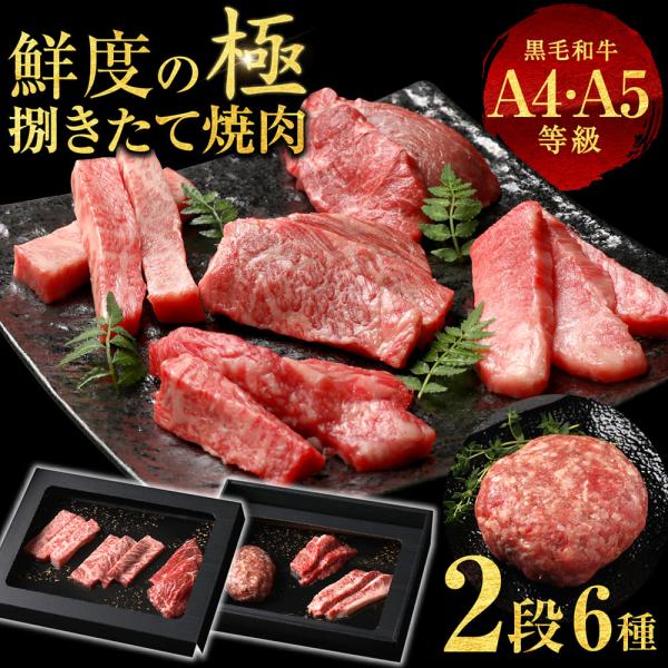 和牛 ギフト お歳暮 クリスマス 6種2段 焼肉 ギフト 特選 黒毛和牛 牛肉 A4 A5 肉 ハンバーグ 霜降り 牛肉 国産 黒毛 和牛 焼肉 セット 真空密封包装