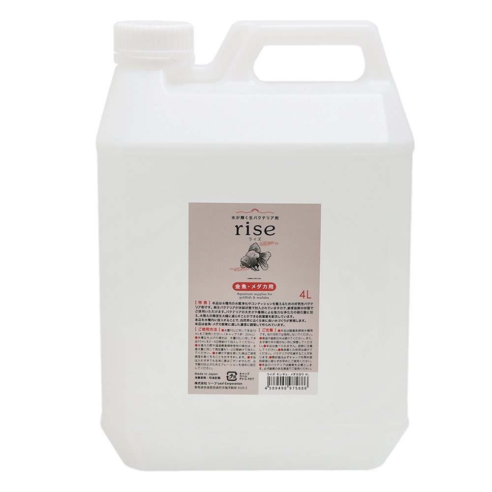 水が輝く生バクテリア剤　ｒｉｓｅ　ライズ　金魚　メダカ用　４Ｌ　好気性バクテリア　ＣＲＣ10―45―10―50―00