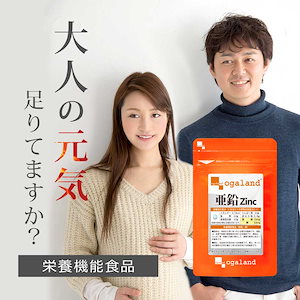 栄養機能食品 亜鉛（約3ヶ月分） サプリ 必須ミネラル の 亜鉛サプリメント 男性 元気 食事で不足　スカルプケア ネイルケア