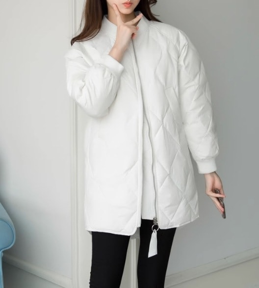 レディース ジャケット コート ブルゾン アウター 上着 ノーカラージャケット 長袖 ファスナー ポケット リブ 前開き キルティング 厚手 中綿 かわいい 大人可愛い きれいめ シンプル カジュアル 8,122円