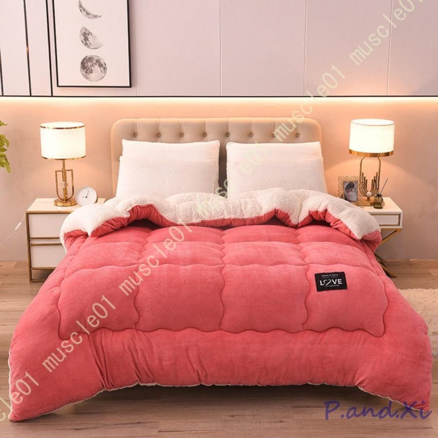 掛け布団 無地 用 あったか シングル クイーン やわらかい肌触り フランネル生地 掛け布団 羽毛より暖かい 蓄熱 吸湿 発熱 綿入り 毛布の代わり 4,983円