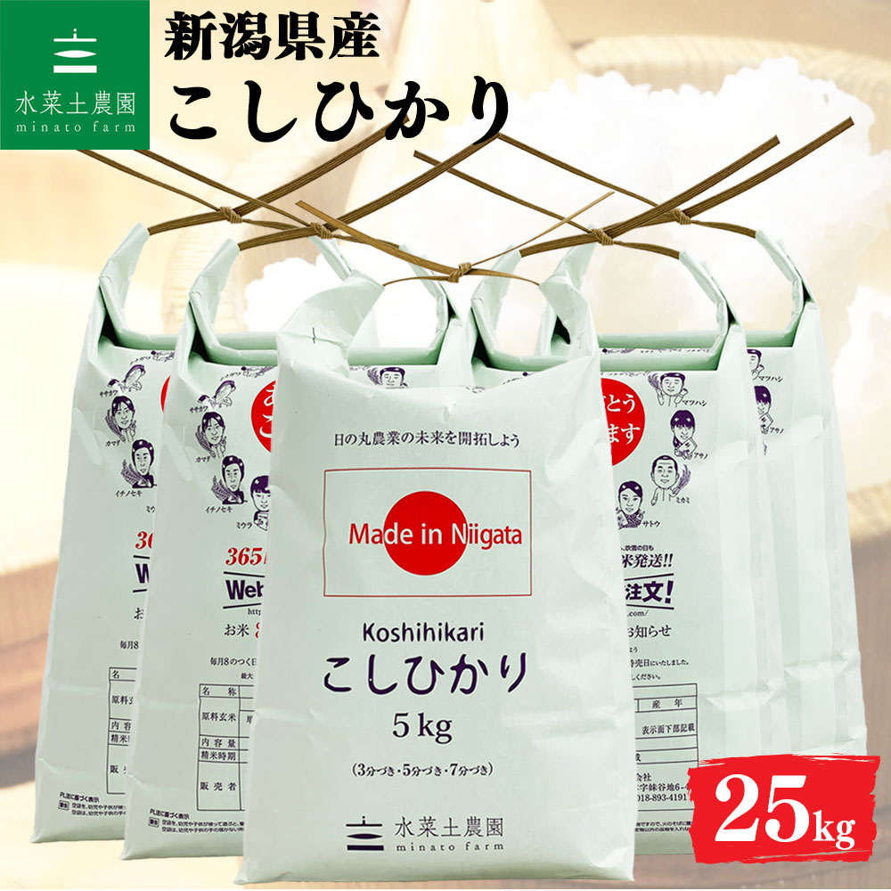 こしひかり 精米 25kg 新潟県産 令和7年産 選べるお試し袋付き
