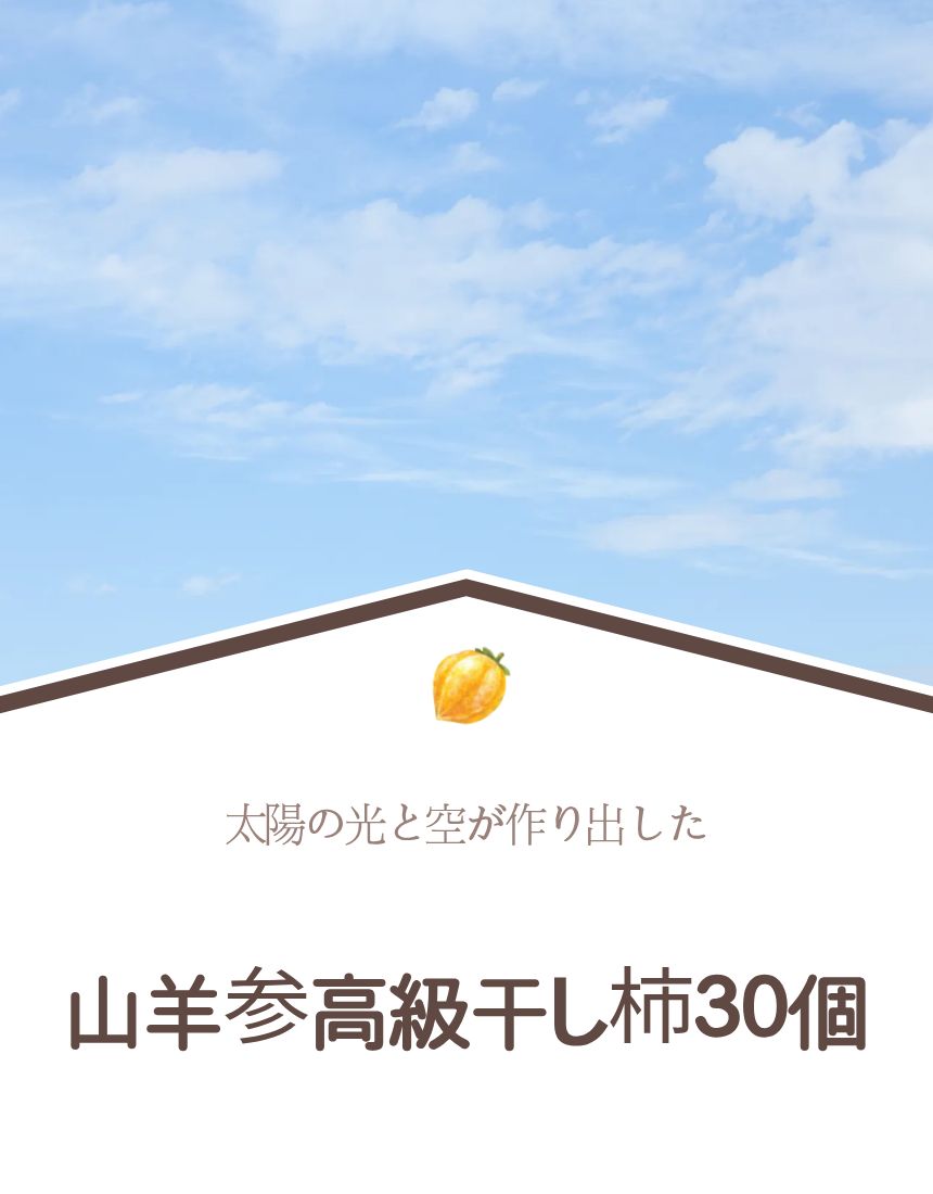 韓国 伝統 冬のおやつ 山羊参 干し柿 高級タイプ 30個入り