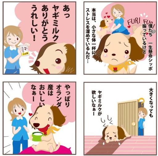 オランダ産やぎミルク やぎミルク 100g×3個セット オランダ産 やぎみるく 山羊ミルク ヤギミルク ミルク本舗