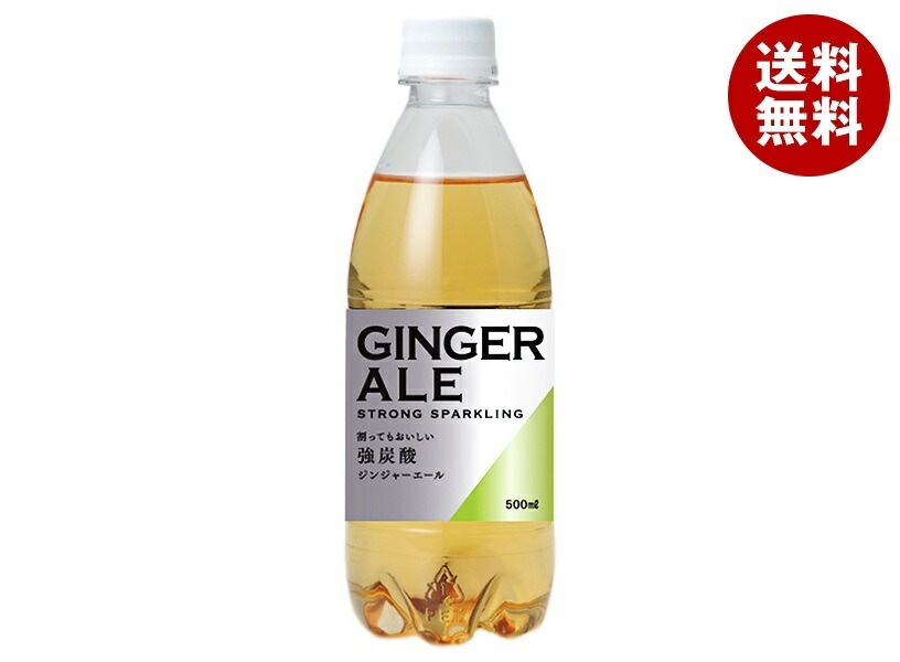 友桝飲料 ジンジャーエール 500mlPET＊24本入＊(2ケース)