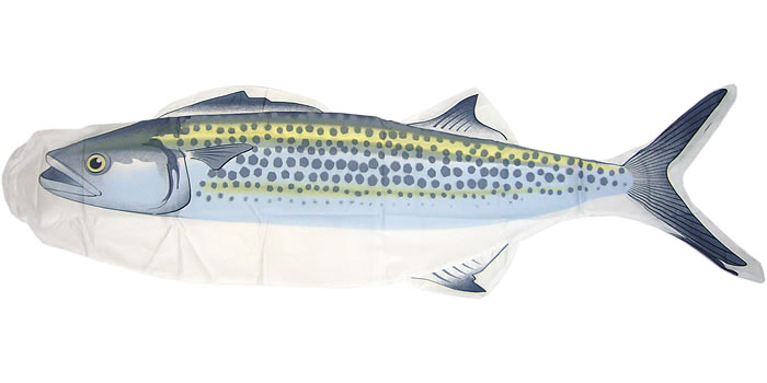 【鯉のぼり【D092】リアル！おさかな　な　なかまシリーズ【さわらのぼり】【新作】【秀光】【限定品】 7,017円