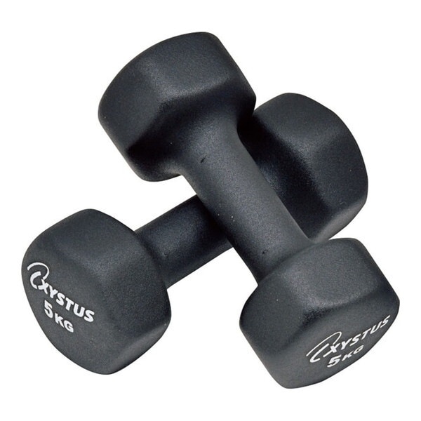 学校体育器具 ラバーコートダンベル5 H7174 7,387円