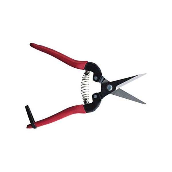 （まとめ）アルスコーポレーション 摘果鋏 L300L 1個 [x3セット]