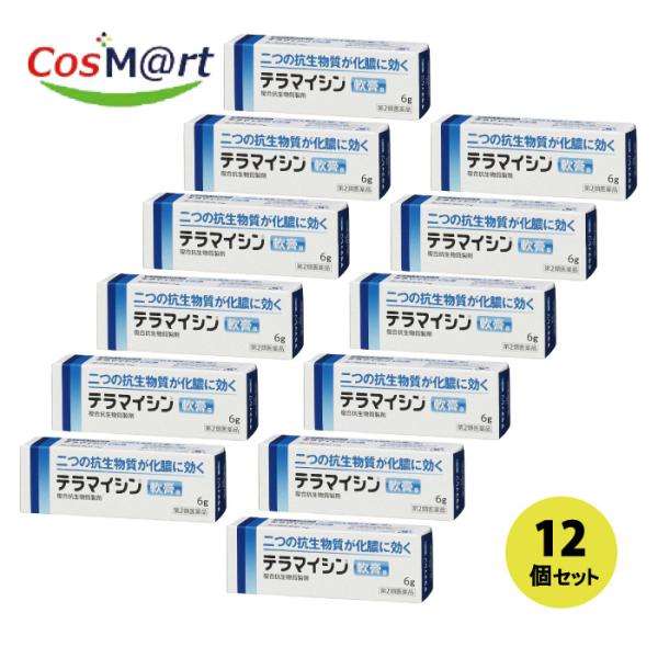 【12個セット】 【第2類医薬品】 【アリナミン製薬株式会社】テラマイシン軟膏ａ６g(4987123701693-12)