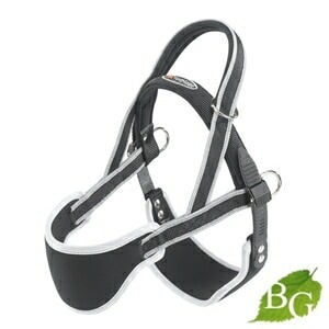 イタリアferplast社製 ERGO COMFORT NORDIC 2 ノルディック 2 介護用