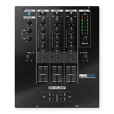 ユッカグロリオサ 極太株 【公式通販】