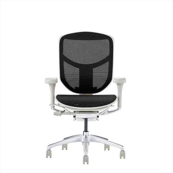 Ergohuman EJ2-LAM-GF-BK グレーフレームブラックメッシュ ENJOY2 Low Type [ロータイプ 高機能オフィスチェア] メーカー直送