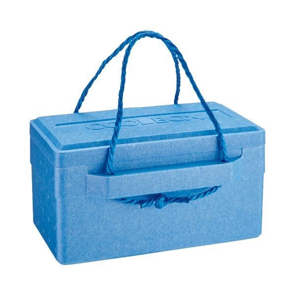 （まとめ） 石山 発泡クールボックス 9.4L ブルー TI-100P 1個 [x5セット]