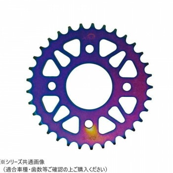 NANKAI/XAM タフライトスチール 36T B2104R36