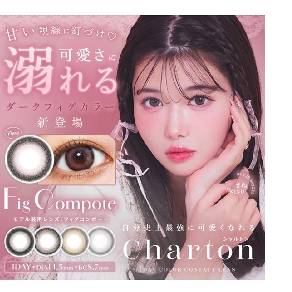 （４箱セット）シャルトンワンデー　シャルトン　ワンデーシャルトン　１箱１０枚入り