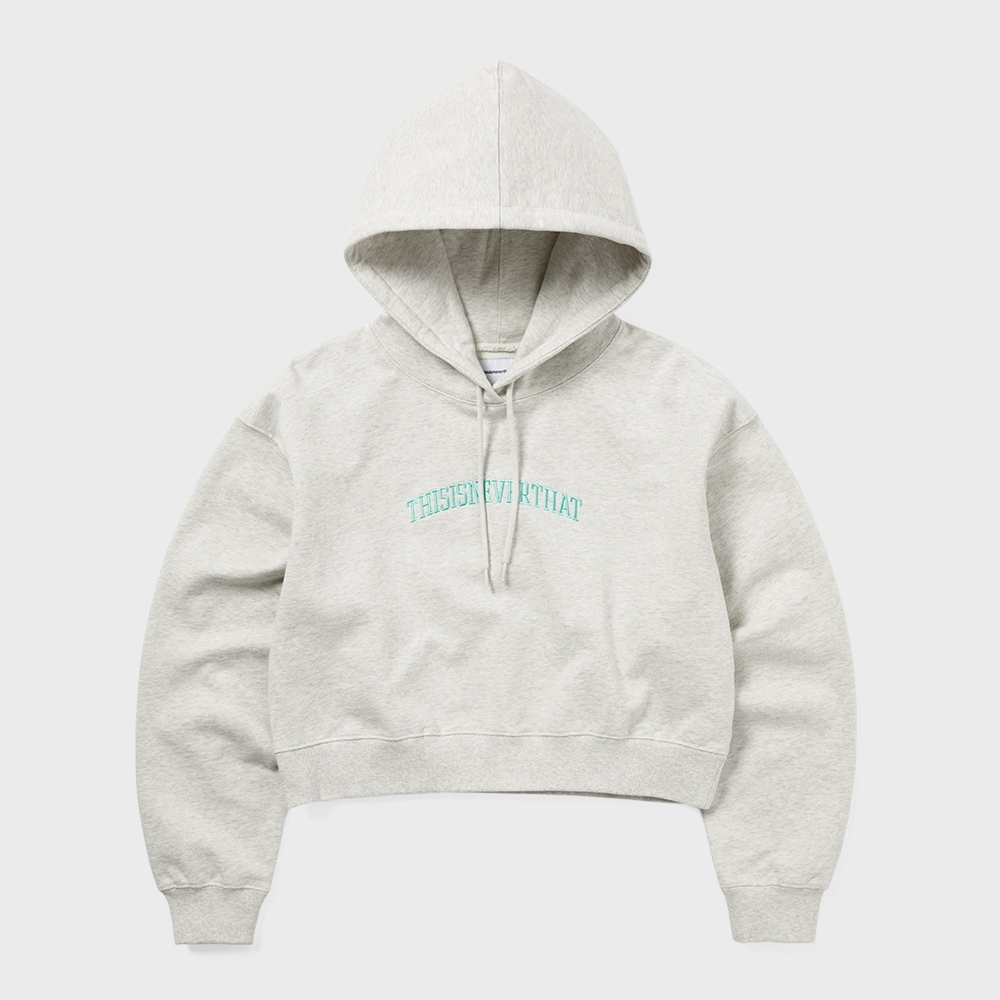 ディス・イズ・ネヴァー・ザット・アーチロゴWパーカーペイント