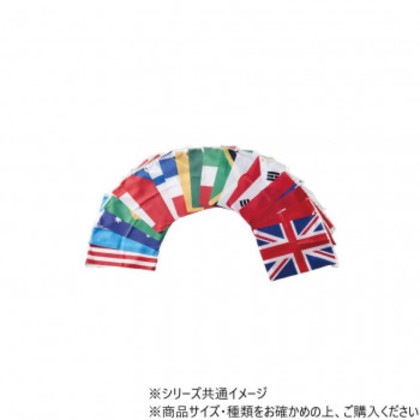 DANNO ダンノ 万国旗20(縦柄20枚1組) D7530