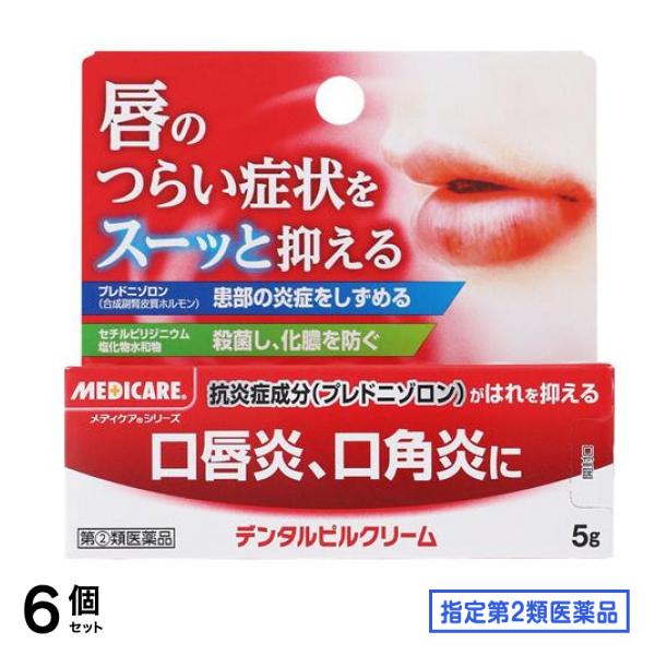 指定第２類医薬品 デンタルピルクリーム 5g 6個セット