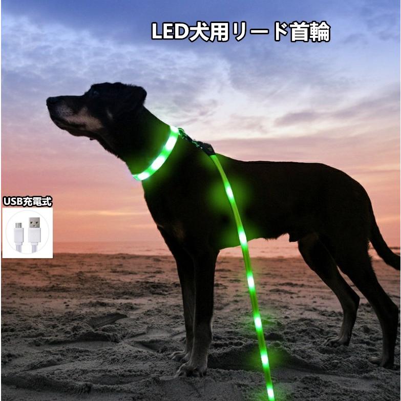 犬 リード首輪 犬用 リード 小型犬 中型犬 USB充電式 持ちやすい ソフトハンドル おしゃれ LEDライト 夜間 散歩 安心 安全 小型犬