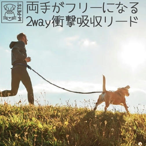 【M-PETS】HIKINGランニングセット