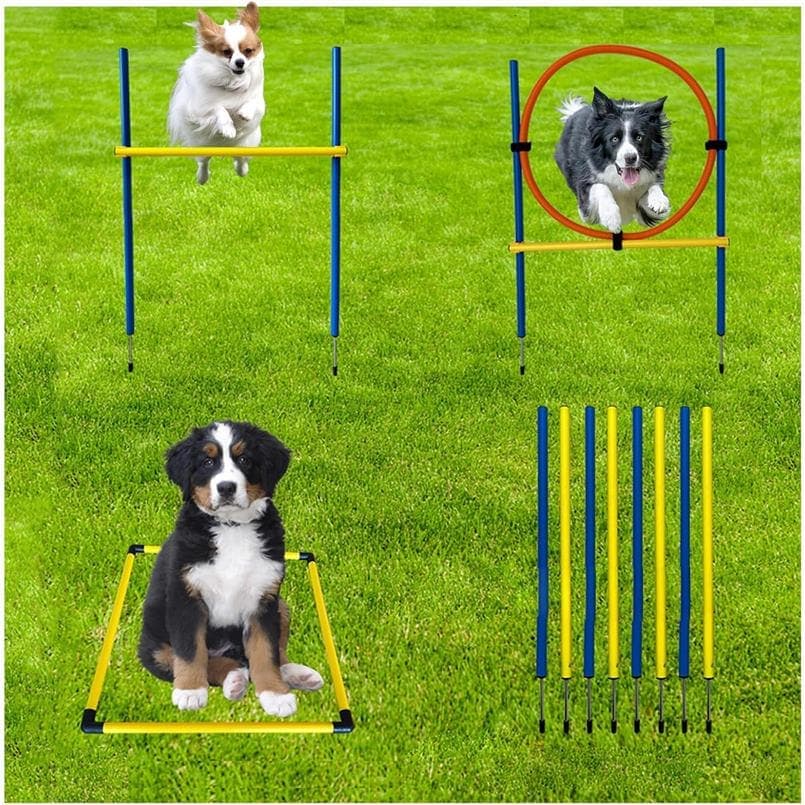 ドッグアジリティ 4点セット 障害物 トレーニング 運動器具 セット ジャンプバー スラローム ハードル ジャンピングリング 収納バッグ付き スターターキット