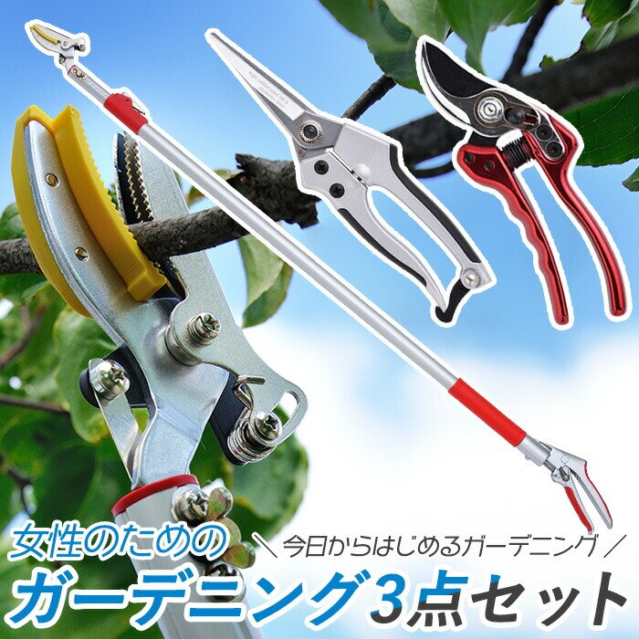 レディース園芸3点セット 3段伸縮式高枝切鋏 芽切鋏 中 剪定鋏 小 高枝切りバサミ 超軽量 伸縮