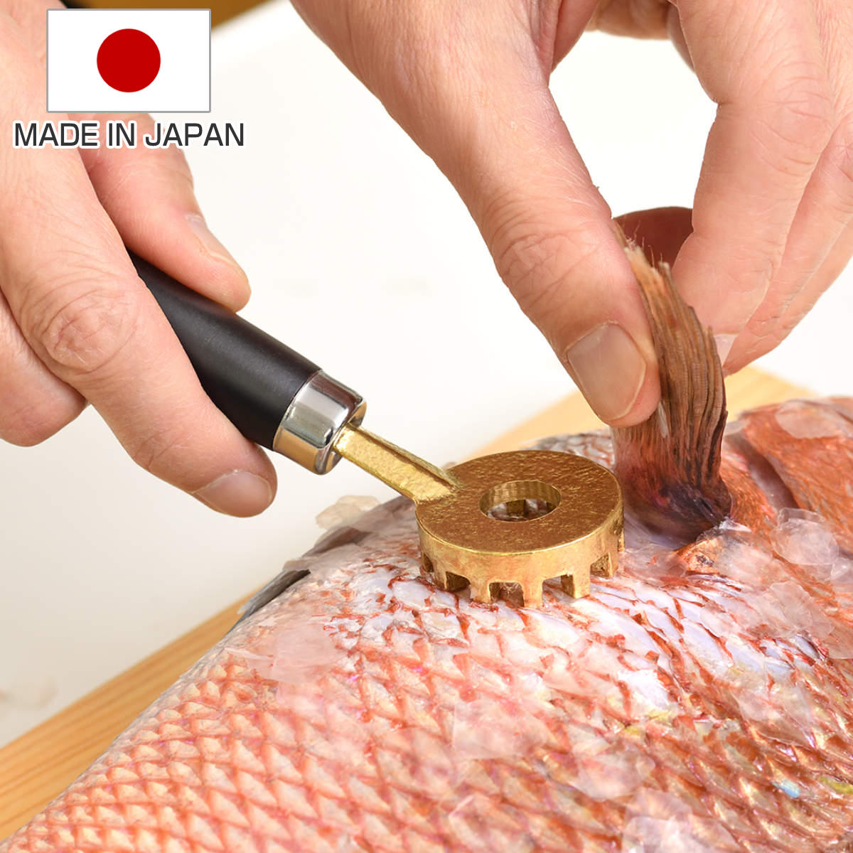 ウロコ取り 大人の焼魚 鱗とり 日本製 鱗取り ウロコ 取り 魚 さばく おろす 台所用品 キッチン用品 燕三条 魚料理 おしゃれ 真鍮製 カバー付き 使いやすい 下ごしらえ
