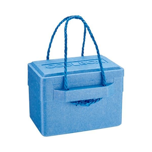 （まとめ） 石山 発泡クールボックス 5.6L ブルー TI-60P 1個 [x5セット]