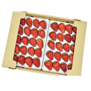 いちご 紅ほっぺ 2Lサイズ 40粒 約600g 河南いちご 冷蔵 大阪 国産 特産品 苺 イチゴ 果物 お取り寄せ グルメ フルーツ