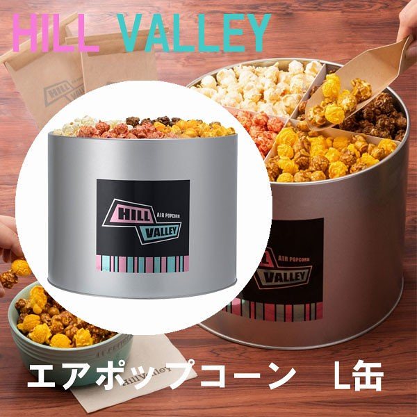 注目ブランドのギフト Hill Valley ポップコーン L缶 4種アソート パーティ ギフト ハロウィン クリスマスギフト その他 Aegis Qa