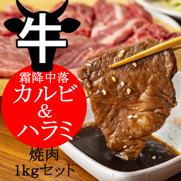 【焼肉1ｋｇセット】牛霜降中落ちカルビ５００ｇ＆牛ハラミ５００ｇ／超希少な牛霜降中落ちカルビ＆８ｍｍ厚の一口カット牛ハラミ！