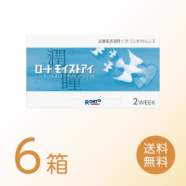 ロートモイストアイ 6箱セット (1箱6枚) ロート 2ウィーク 2week コンタクトレンズ