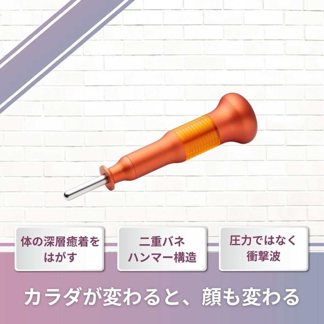 【独自開発「二重バネハンマー構造」】 インナーマッスル 鍛え難い筋肉へ CORE FIT Body-Driver（ボディドライバー）