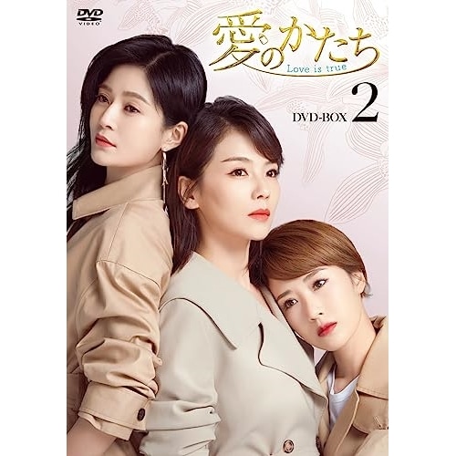愛のかたちLove is true DVD-BOX2 ／ リウ・タオ (DVD) HPBR-2442