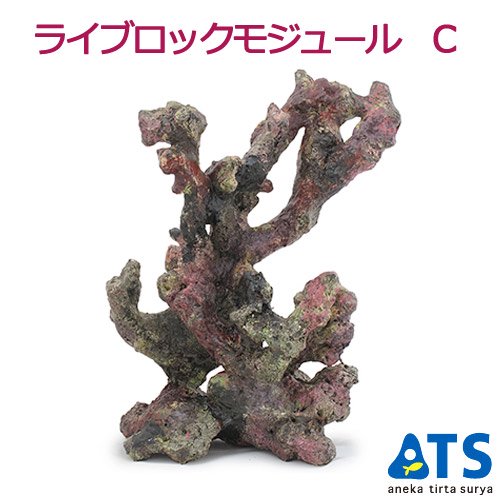 ライブロックモジュール　Ｃ　アクアリウム　擬岩　ＣＲＣ10―35―90―30―00