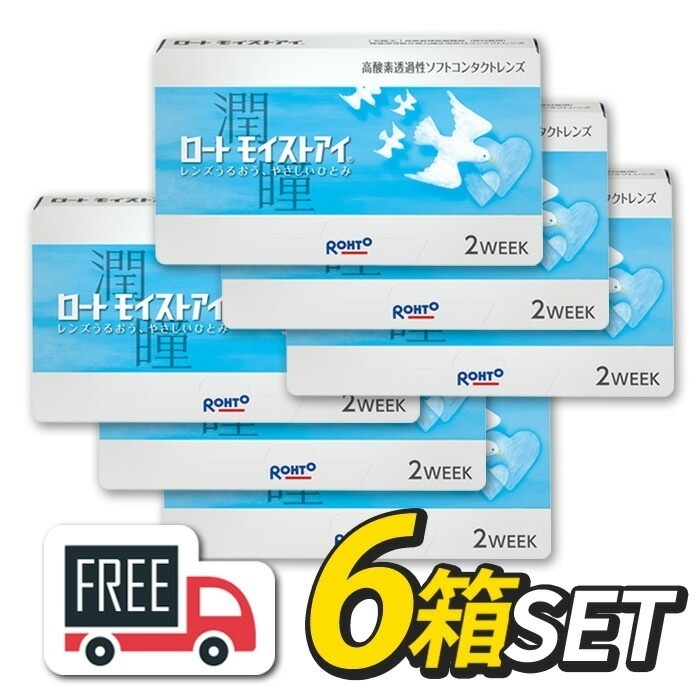 ロート モイストアイ 6箱セット（1箱6枚入）コンタクトレンズ 2週間 使い捨て 2ウィーク 近視 遠視 ポスト便