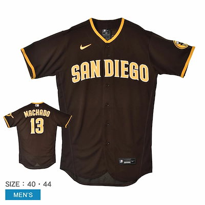 油絵 風景画 千住博 銀河の夜 F6号 額付き 手描き 肉筆 【公式通販】