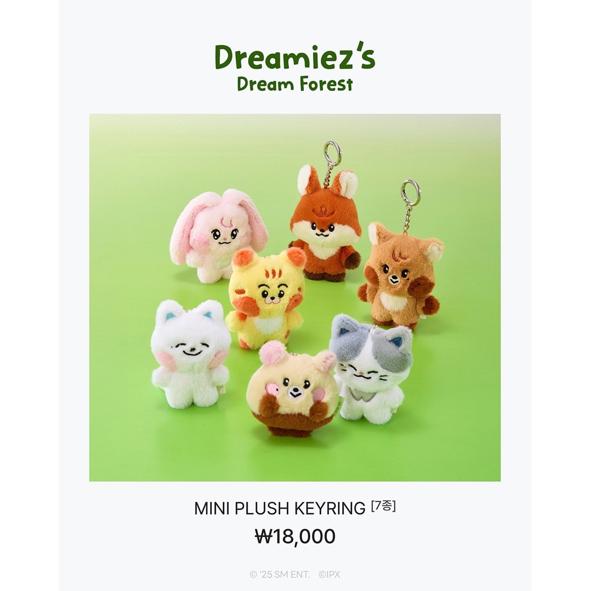 Qoo10] [公式] NCT DREAM Dream