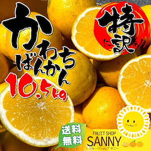 みかん7個 Qoo10] みかん（1～7日以内発送）（100ケース