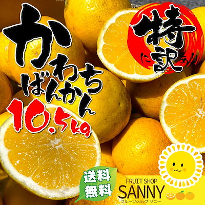 ◆ みかん Qoo10] みかん（1～7日以内発送）（100ケース